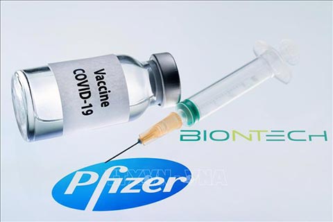 bo-y-te-phe-duyet-vaccine-cua-pfizer-biontech-cho-nhu-cau-cap-bach-phong-chong-covid-19