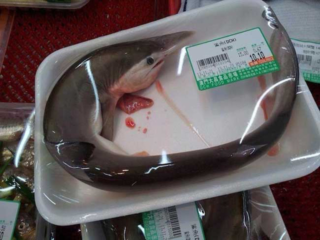 Những mặt hàng kỳ dị chỉ có trong siêu thị Trung Quốc, ai xem đều rùng mình - Ảnh 6.
