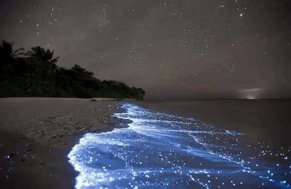 Giữa thiên đường Maldives tồn tại một bãi biển huyền ảo đến vô thực, được ví như dải Ngân hà - Ảnh 1.