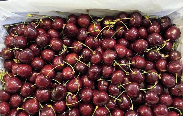 Quả cherry là loại quả vốn đắt đỏ dành cho nhà giàu hay mua vì nhập khẩu về Việt Nam. Thời gian gần đây, loại quả cherry đang rớt giá mạnh, chỉ khoảng 200.000kg.