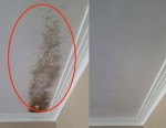 Mách bạn các cách đơn giản loại bỏ triệt để nấm mốc trên trần nhà