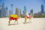 5 lý do nên đi du lịch Dubai
