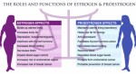 Dùng nội tiết Estrogen chớ nghe lời đồn đại
