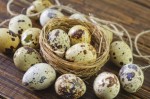 5 lợi ích tuyệt vời của trứng cút không phải ai cũng biết
