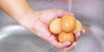 Sai lầm tai hại khi rửa trứng trước khi bảo quản trong tủ lạnh