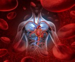 Khi bệnh tim “tấn công”, trên cơ thể sẽ có 3 phản ứng kỳ lạ