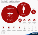 Nghiên cứu mới: Muỗi đực biến đổi gen giúp cắt giảm bệnh tật