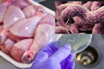 Rửa sạch và nấu chín thịt gà chưa đủ để phòng nguy cơ ngộ đ.ộc, cần lưu ý thêm các bước này