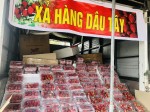 Sự thật về “Dâu tây Đà Lạt, Sơn La, Mộc Châu” giá rẻ tràn lan khắp đường phố Hà Nội