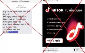 Tham gia kiếm tiền trên ứng dụng Tiktok, một phụ nữ bị lừa gần 300 triệu đồng