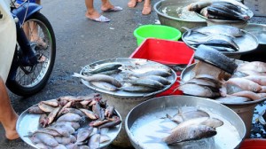 Cách lựa chọn cá tươi ngon tại chợ