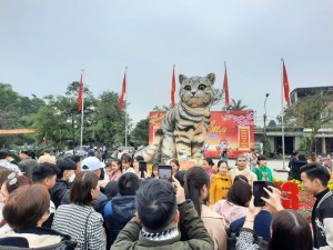 'Hoa hậu mèo' Quảng Trị thu hút hàng chục nghìn người đến check-in dịp Tết