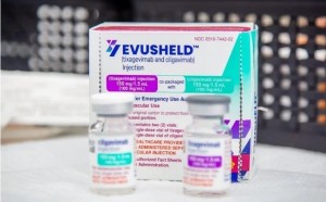 Việt Nam tạm dừng sử dụng th.uốc Evusheld điều trị Covid-19