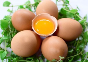 Ăn trứng gà tuyệt đối không làm điều này để phòng cúm A/H5N1