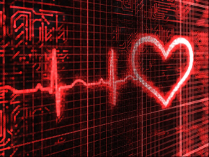 Người có nhịp tim nhanh hay chậm, ai sống lâu hơn?