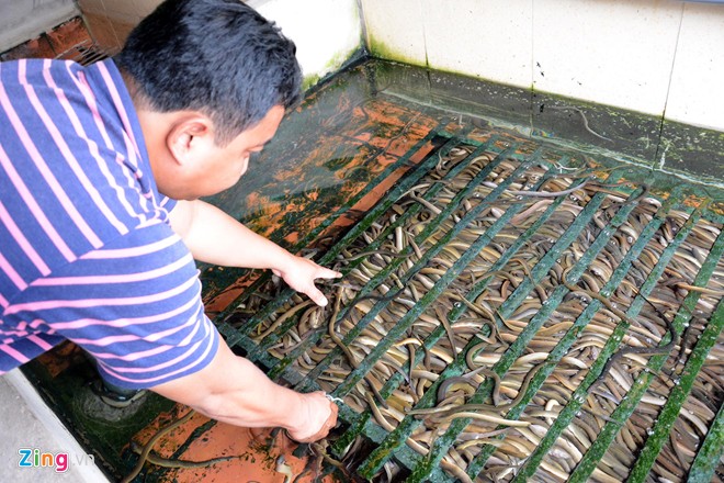 Anh Đoàn Kim Sơn, 34 tuổi, giảng viên Đại học Nông lâm TP.HCM là chủ trang trại Sơn Ca (xã Tân Xuân, huyện Hóc Môn, TP.HCM). Anh Sơn là một trong những người áp dụng thành công mô hình nuôi lươn không bùn đầu tiên tại Sài Gòn.