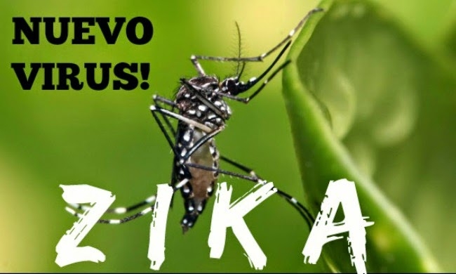 Bộ Y tế cảnh báo virus ăn não do muỗi Aedes