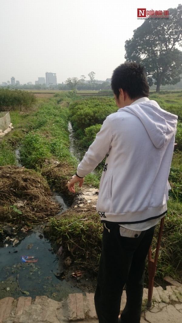 Kinh hãi rau muống tưới bằng nước cống được bán ở Hà Nội
