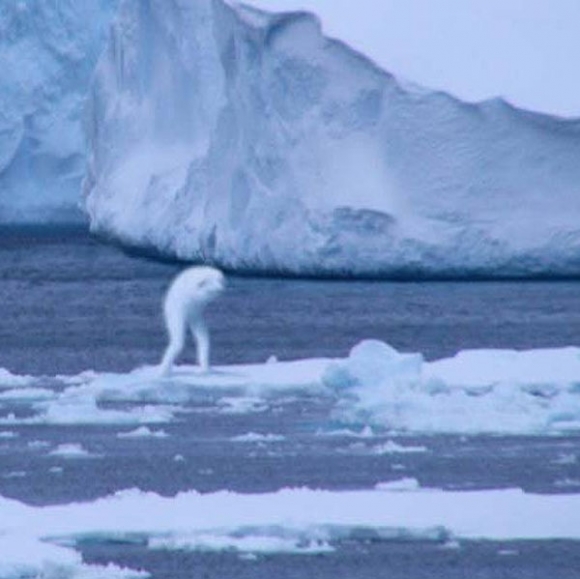 Lại xôn xao quái vật giống người xuất hiện ở Nam Cực