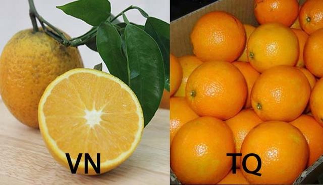 Cách phân biệt trái cây Việt Nam và trái cây Trung Quốc khi đi chợ Tết