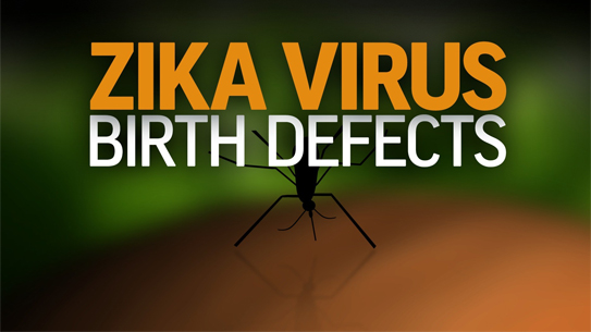 Nhung-dau-hieu-dau-tien-khi-nhiem-vi-rut-Zika