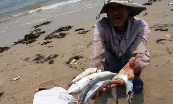 Cá chết hàng loạt, ô nhiễm không khí: Cần một chữ tâm vì cộng đồng