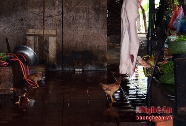 Hình ảnh kinh hoàng về lò thịt quay nổi tiếng nhất thành phố Vinh