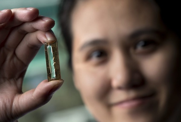 Nữ nghiên cứu sinh gốc Việt phát minh ra pin lithium trọn đời