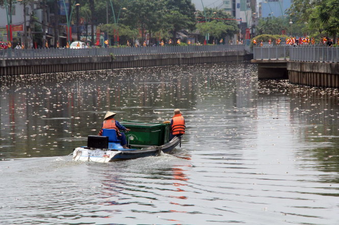Clip cá tiếp tục chết trắng kênh Nhiêu Lộc - Thị Nghè