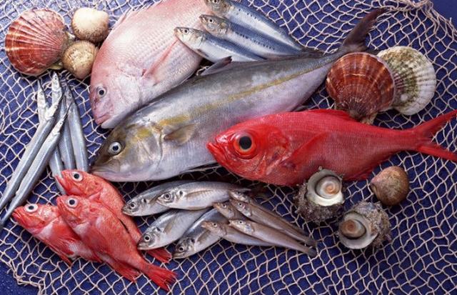 7 loại cá bạn từng mua, có mời chuyên gia cũng không dám ăn