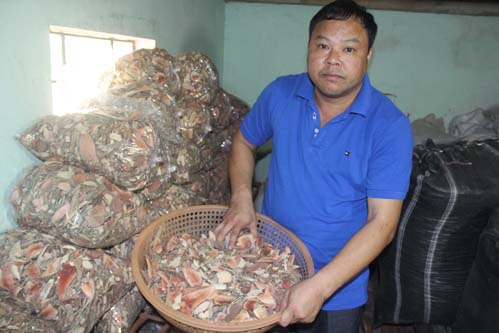 Bí ẩn căn hầm ở Tuyên Quang giúp nam nữ 'hồi sinh' tuổi thanh xuân