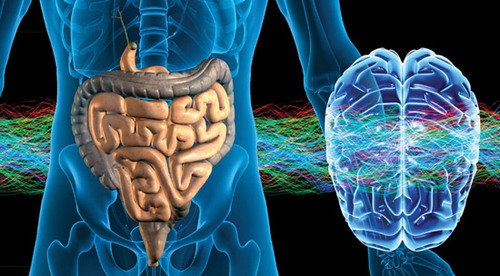 Khoa học đã chứng minh: Bộ não thứ 2 của người nằm trong bụng