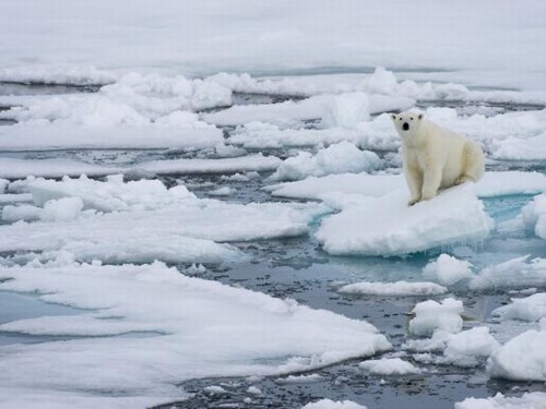 Lần đầu tiên sau 100.000 năm, băng tại Bắc Cực có thể tan chảy hoàn toàn