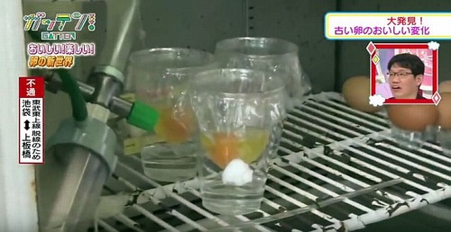 Ở Nhật Bản, trứng gà không vỏ vẫn có thể nở thành con