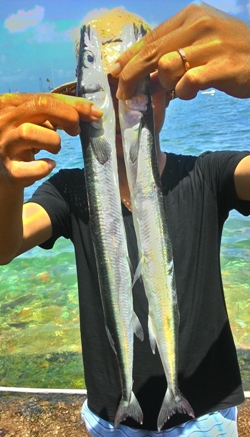 Cá xanh xương, đặc sản 'ngon bổ rẻ' ở quần đảo Nam Du