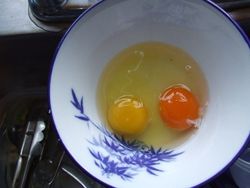 Cách phân biệt chính xác trứng gà khỏe và trứng mang mầm bệnh
