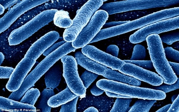 siêu vi khuẩn kháng mọi loại kháng sinh 