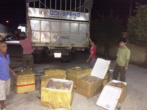 Hãi hùng bắt giữ 6 tạ thịt thối tại Bình Định