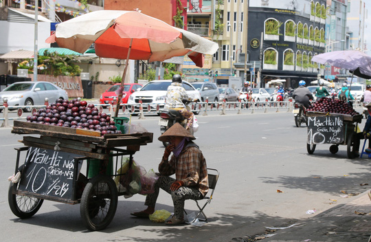 Mận Trung Quốc gắn mác Hà Nội trên đường phố Sài Gòn