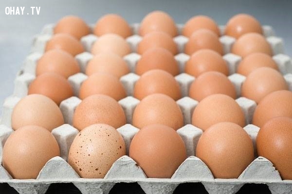 Những hiểu lầm về trứng gà mọi người nên biết