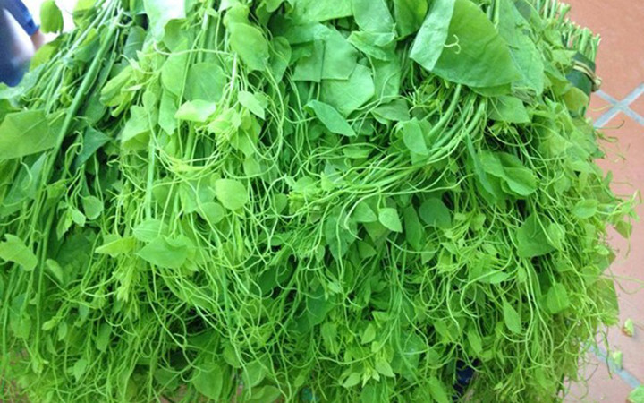 Những loại rau lạ “gây sốt” thị trường Việt