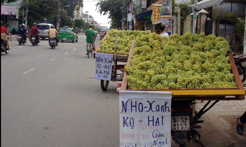 60.000 đồng/kg nho xanh Trung Quốc đổ bộ đường phố Sài Gòn
