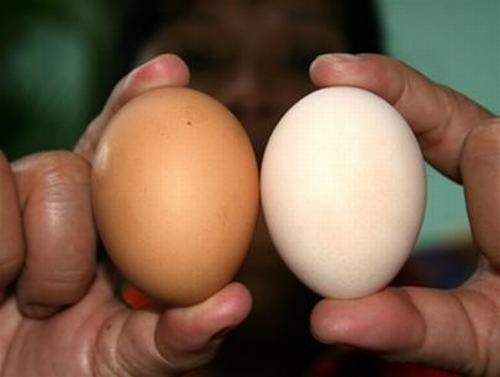 Bác bán trứng chia sẻ cách nhận biết trứng bị tẩy trắng, trứng Trung Quốc, trứng để quá hạn 