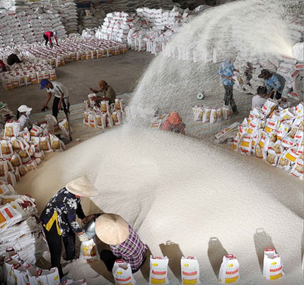 Gạo Việt nào khiến thương nhân nước ngoài 