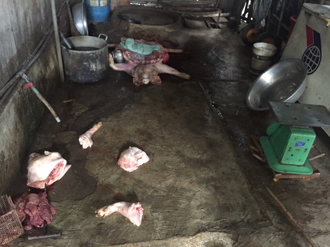 Mua heo chết xẻ thịt đem bán ở nơi đông công nhân đi chợ