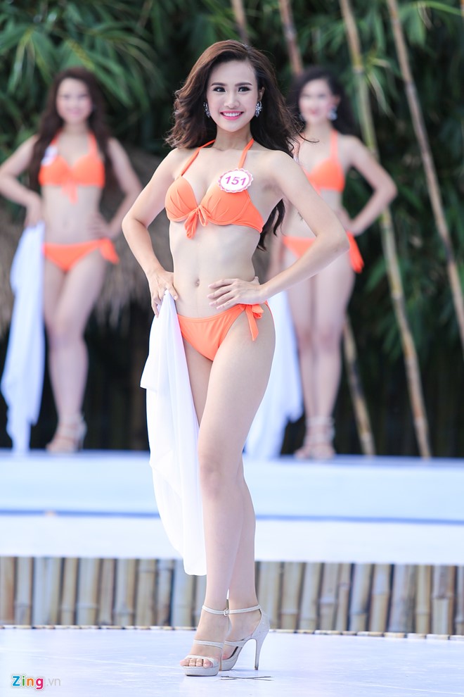 Những ứng viên sáng giá cho vương miện Hoa hậu Việt Nam 2016