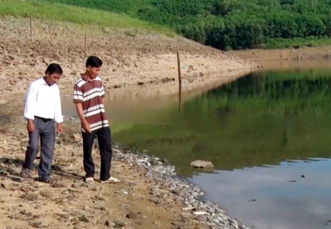Quảng Nam: Gần 10 tấn cá chết chưa rõ nguyên nhân