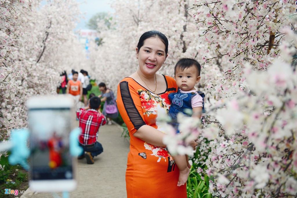 Xuất hiện vườn hoa anh đào thu hút giới trẻ Sài Gòn