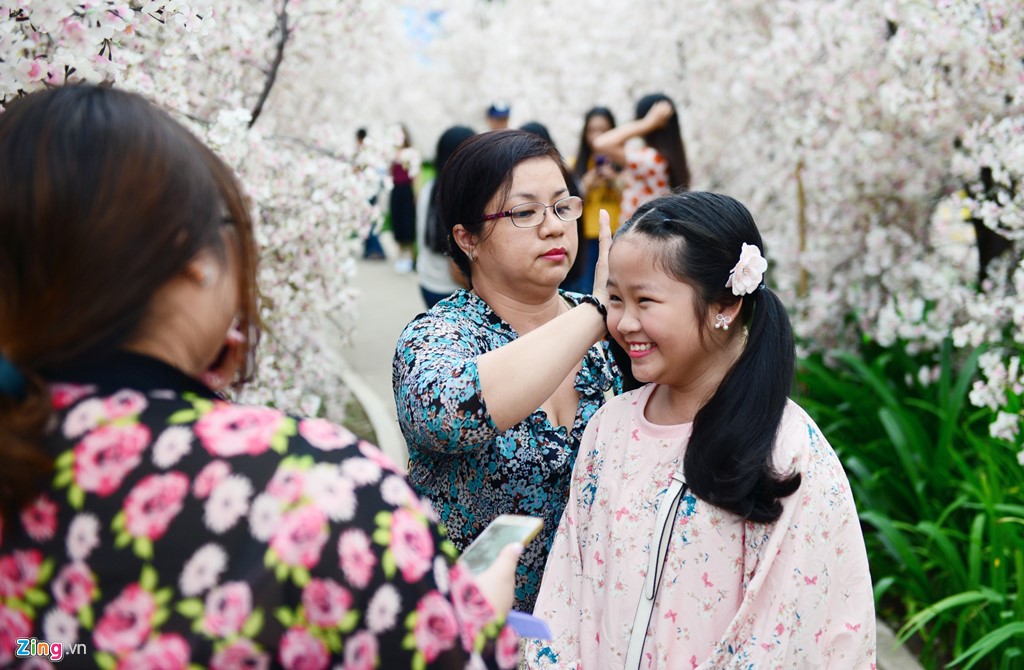 Xuất hiện vườn hoa anh đào thu hút giới trẻ Sài Gòn