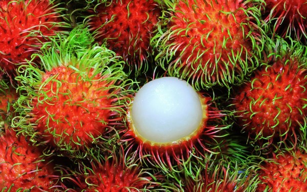 5 loại quả của Việt Nam lọt top ngon và hiếm nhất thế giới
